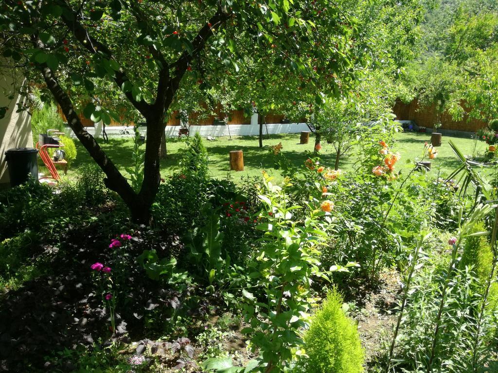 Riverside Guesthouse Pocitelj Exterior photo